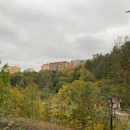 Ferienwohnung U Kosmonauta Decin Exterior foto