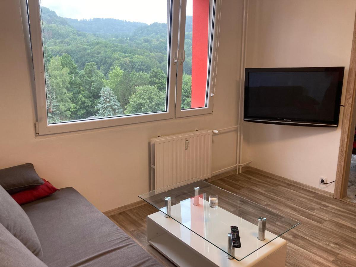 Ferienwohnung U Kosmonauta Decin Exterior foto