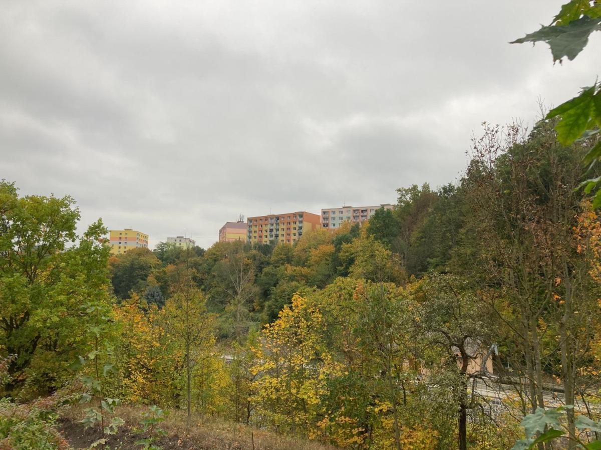 Ferienwohnung U Kosmonauta Decin Exterior foto